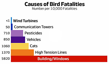 blog_bird_fatalities.jpg