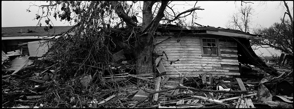 lower 9th ward after hurricane katrina - panormic of house and tree