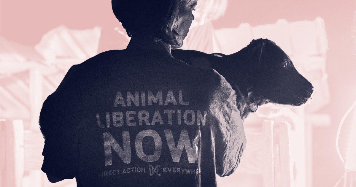 Inside the Bold New Animal Liberation Movement: No Masks, No Regrets, All  the Risk – Mother Jones