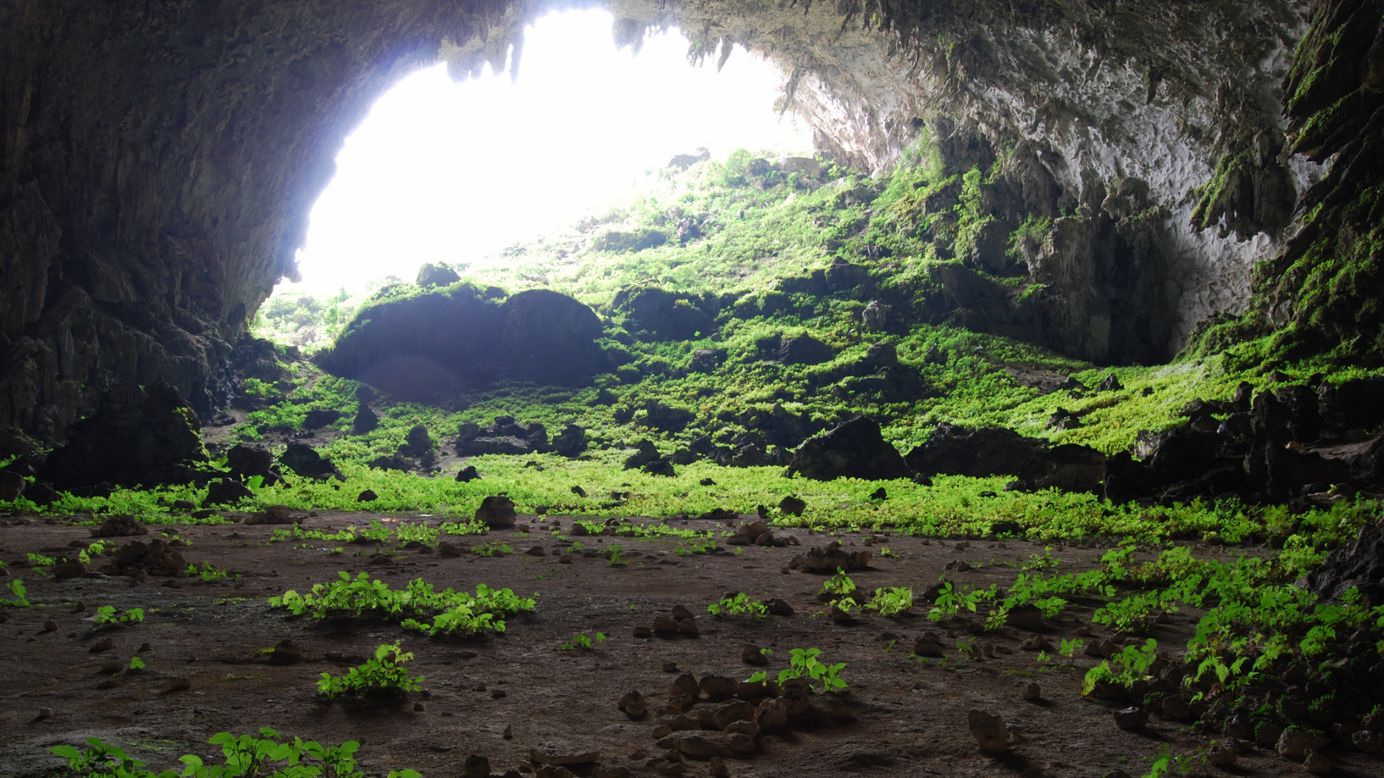 Big mother nature cave. Пещера Шондонг. Пещера Шондонг Вьетнам. Пещеры Шондонг Вьетнам облака. Грот пещера.