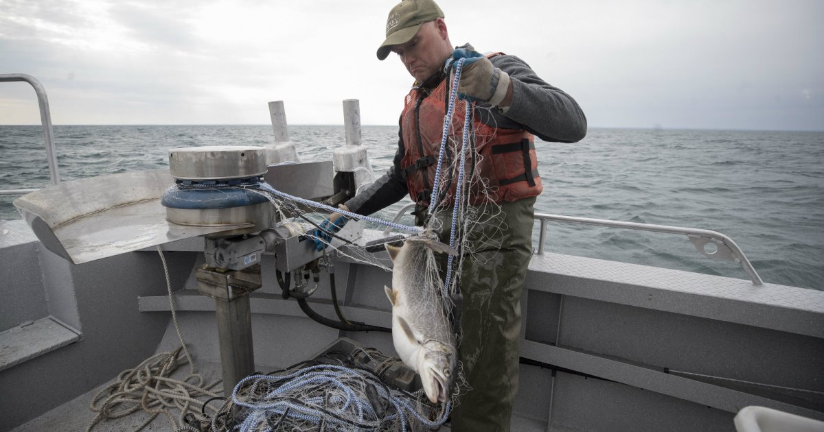 House Republicans Just Voted to Gut Protections for America's Fish – Mother  Jones