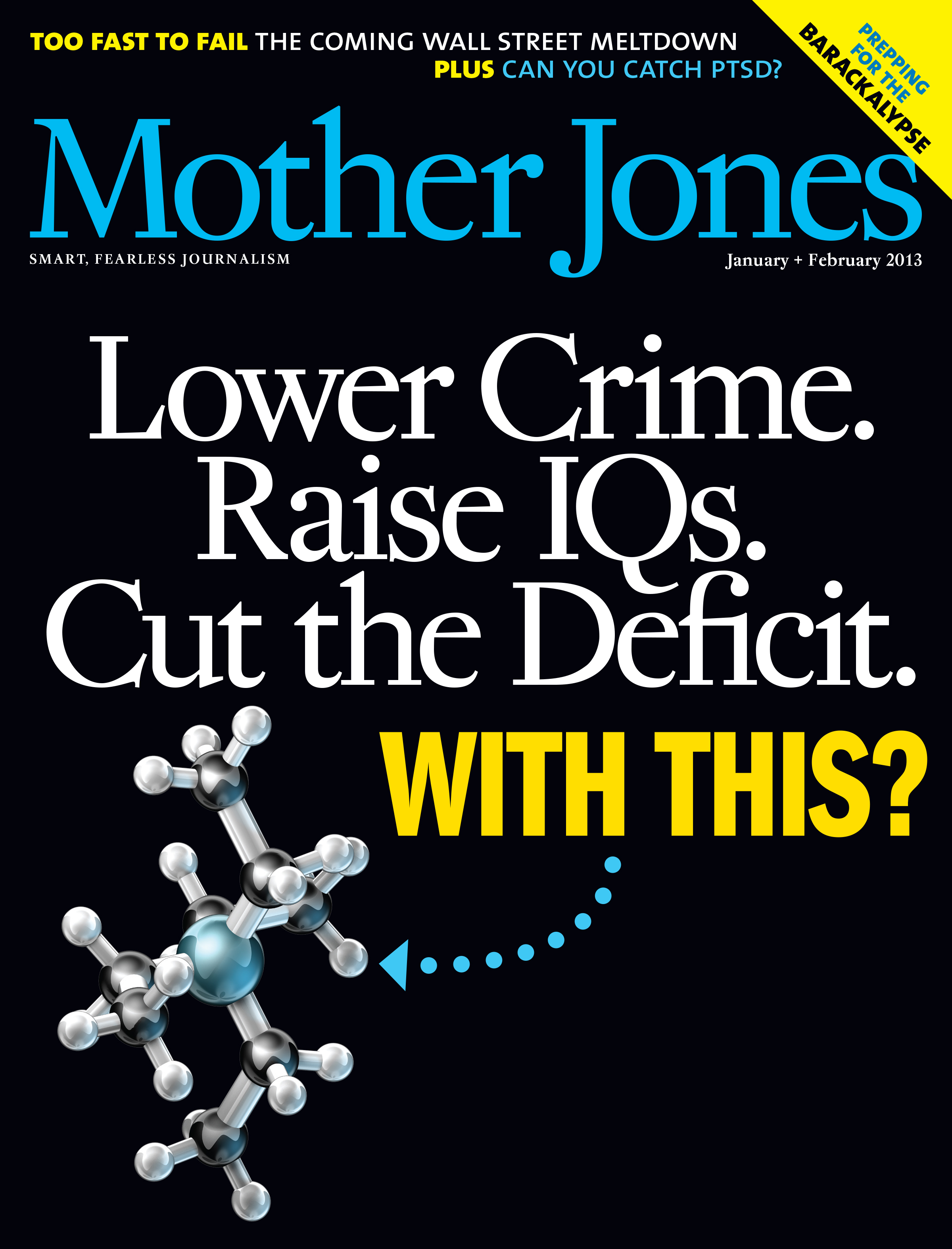 Mother Jones Magazine Cover : January + February 2013