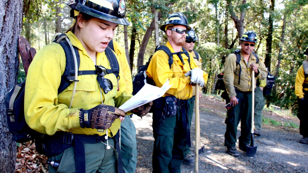 People in hardhats and fire-proof clothing stand on a road in a forest, reviewing a paper.