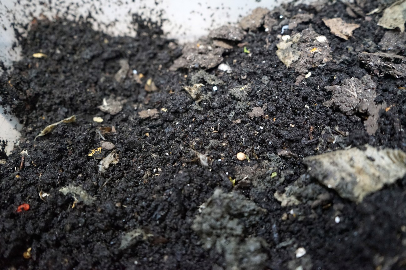 You Should Be Composting in Your Apartment. Here’s How. – Mother Jones