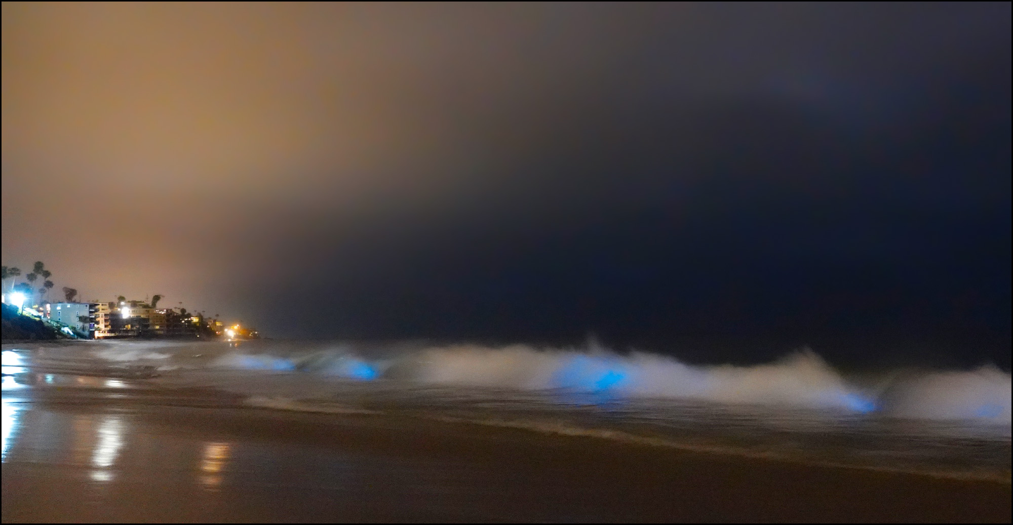 Bioluminescence! Mother Jones