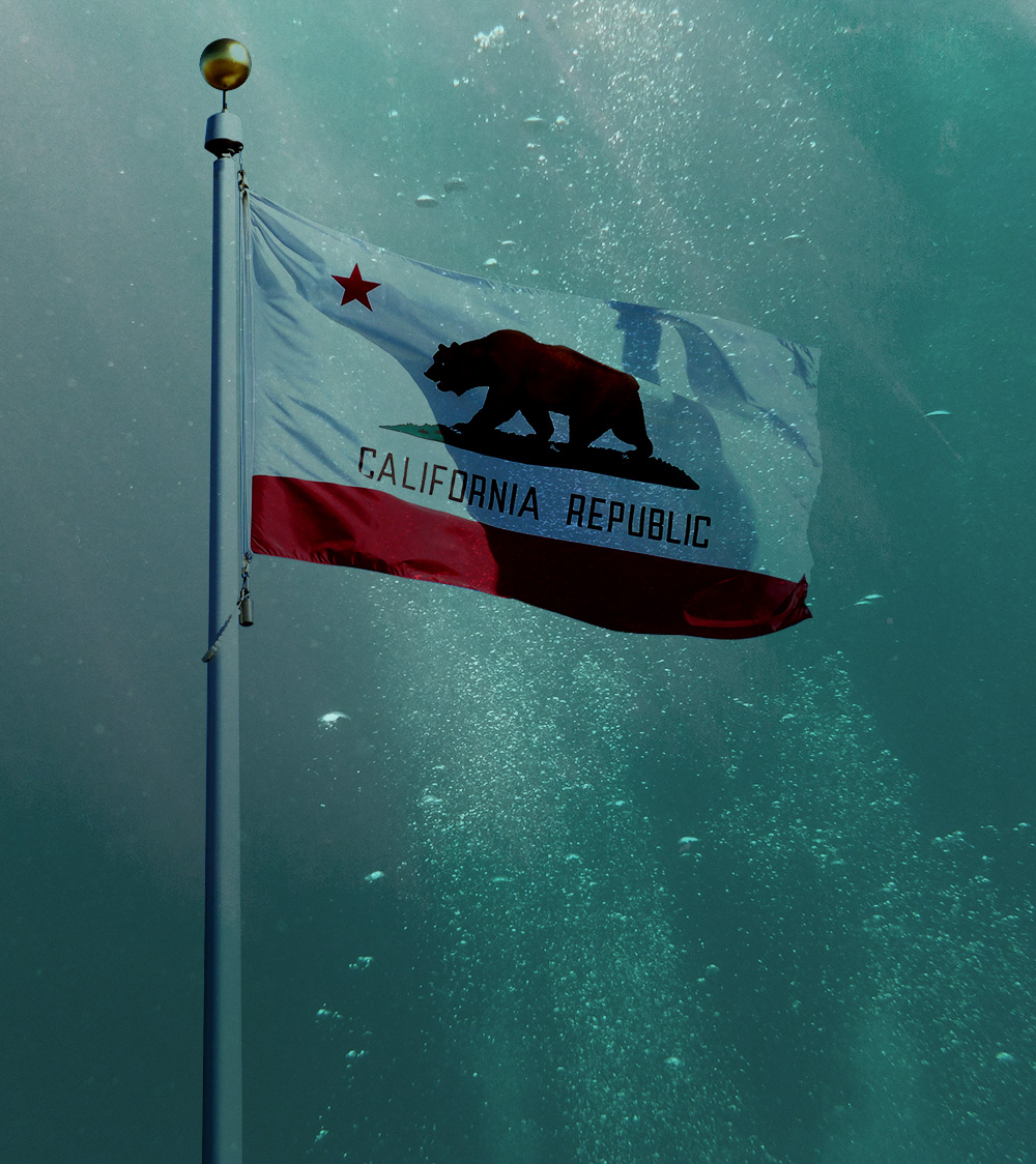 “Among Us”: saving 2020 one emergency meeting at a time – The Californian