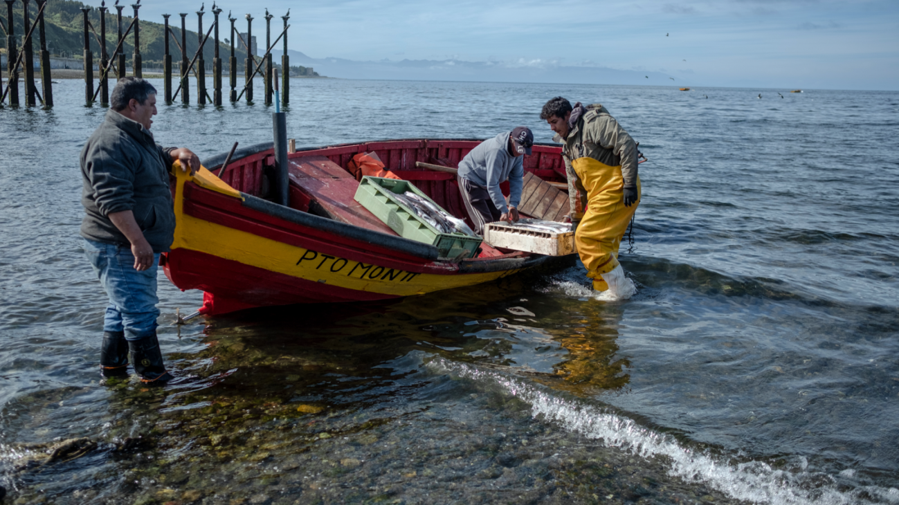 Artisanal fishermen arrive with fresh fish for sale in Puerto Montt on February 27, 2023.