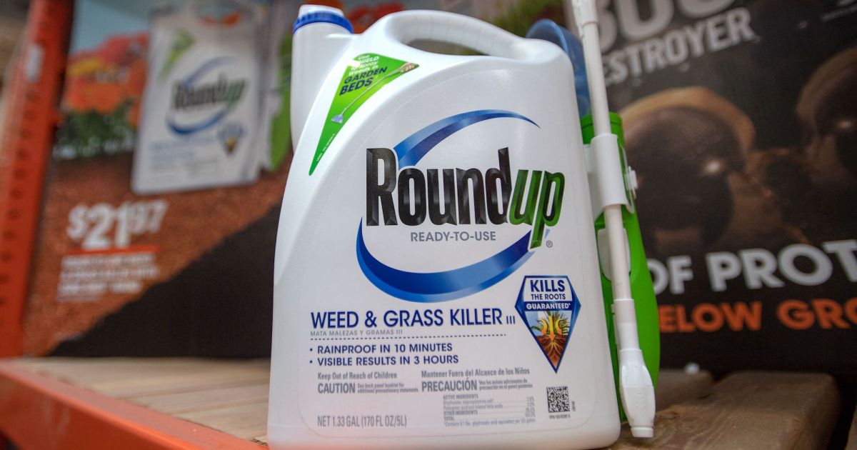 Customer Buying Roundup in a French Hypermarket. the New Roundup is a  Brand-name of an Herbicide without Glyphosate, Made by Monsa Editorial  Stock Image - Image of protection, carrefour: 181181774