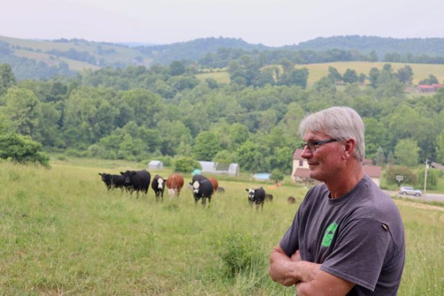 A photo of Chuck, a white man with white hair wearing a t-shirt, standing outside in front of some cattle