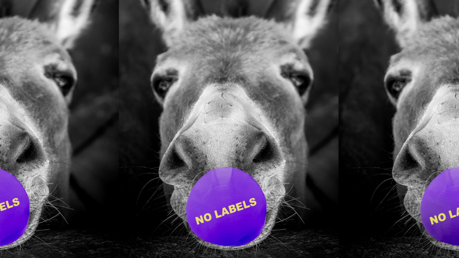 Top Democratic-Run Firms Won’t Discuss Their Work for No Labels (motherjones.com)