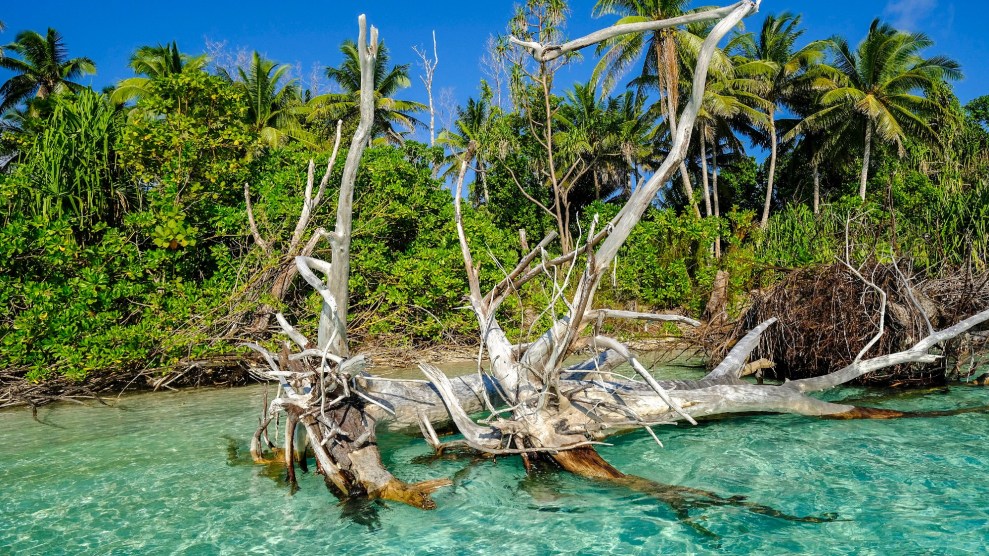 Foto genomen op 12 oktober 2019, toont een ingestorte witte, droge boom na aantasting van zeewater na de stijging van de zeespiegel op het eilandje Tepuka op het atol Funafuti, Tuvalu.