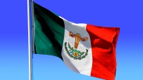 The flag of Mexico with the eagle replaced with fallopian tubes and uterus