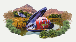 A collage of a buoy in a shell in water with grass and mountains surrounding it