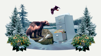 A collage of a bear, an eagle, a filing cabinet, a lake and some surrounding trees that have some snow on them.