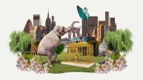 A collage of an elephant reaching for a butterfly at the top of the Bronx Zoo that has a giraff and tiger surrounding it with New York City tall buildings in the background