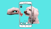A collage of a white fluffy dog licking its lips, a phone and a hand holding a dog treat in front of the dog's face