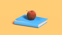 3D illustration of a rotten apple on top of a blue book with a torn cover. The apple and book are on a yellow background; a fly hoovers over the apple.