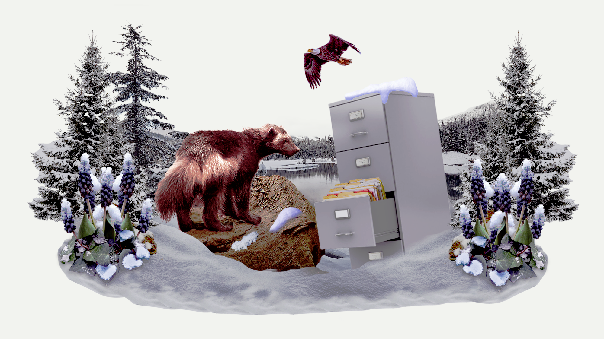 A collage of a wolverine, an eagle, a filing cabinet, a lake and some surrounding trees that have some snow on them.
