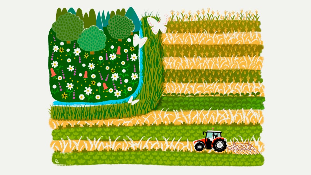 Pictured is an illustration of a farm, with field of crops, a tractor and a small forested area; The farm is in the shape of the American flag, where the rows of crops are the stripes and the forested area with flowers are the stars.