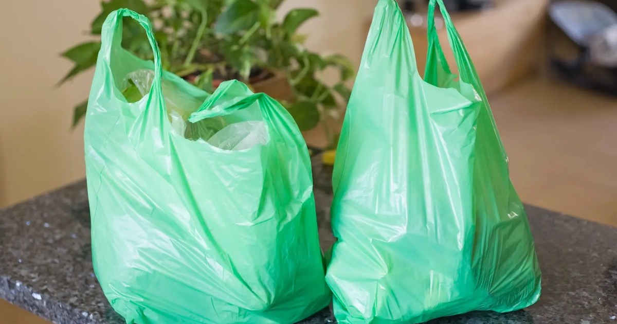Bans on Single-Use Plastic Bags Seem to Be Working – Mother Jones