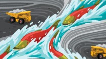 Illustration of trucks and salmon fish in water stream