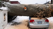 A chainsaw rests in a downed tree on a silver car.