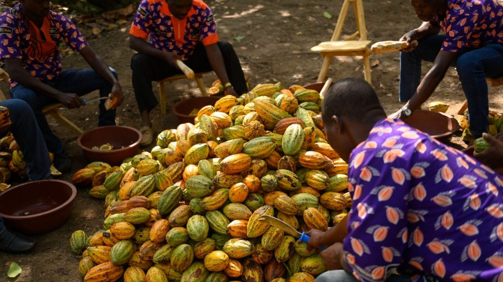Black individuals in bright, colorful shirts circle a huge, colorful pile of cacao fruit.