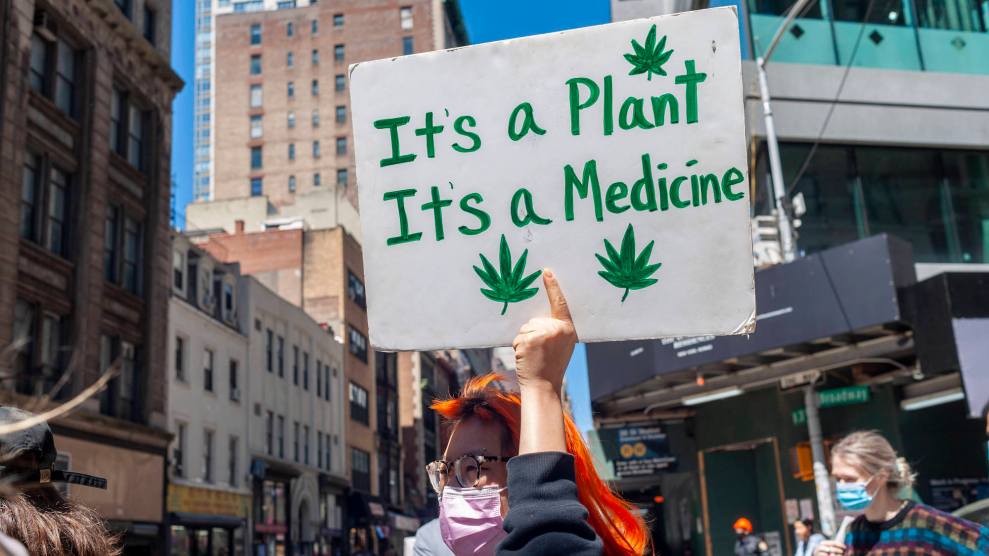 A person walking in a protest with a sign that says "It's a plant, it's a medicine" with pot leaves on it