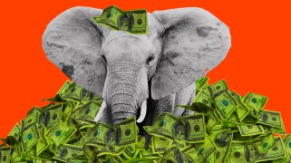 An elephant representative of the Republican Party, sits in a pile of cash. A hundred-dollar bill balances on its head.