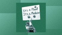 A photo illustration of a person walking in a protest with a sign that says "It's a plant, it's a medicine" with pot leaves on it