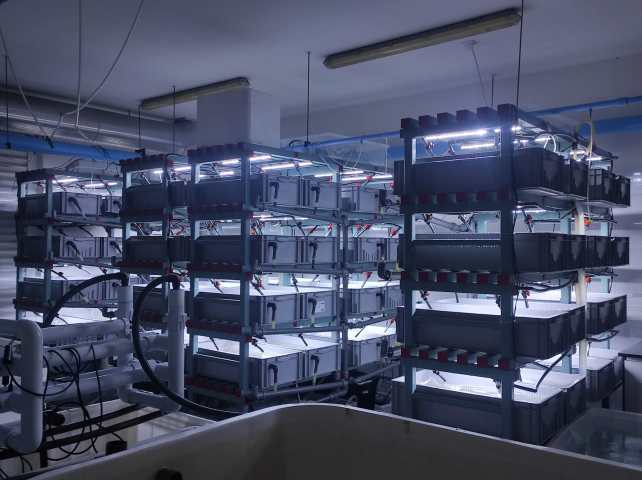 White trays are stacked upon each other. White light illuminates them.