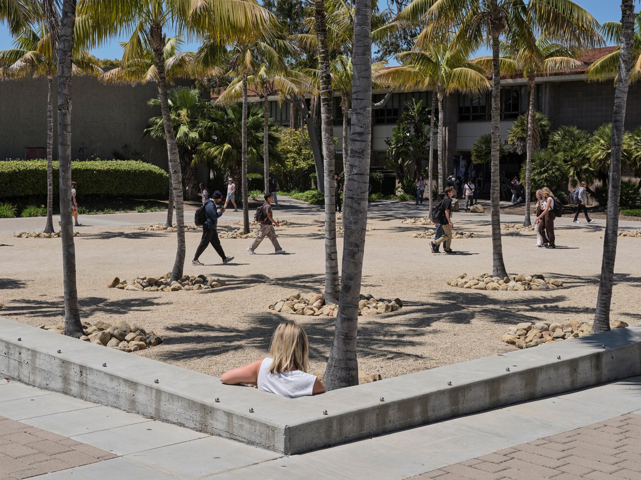 A woman sits among a grouping of palm trees while other people walk in the distance.