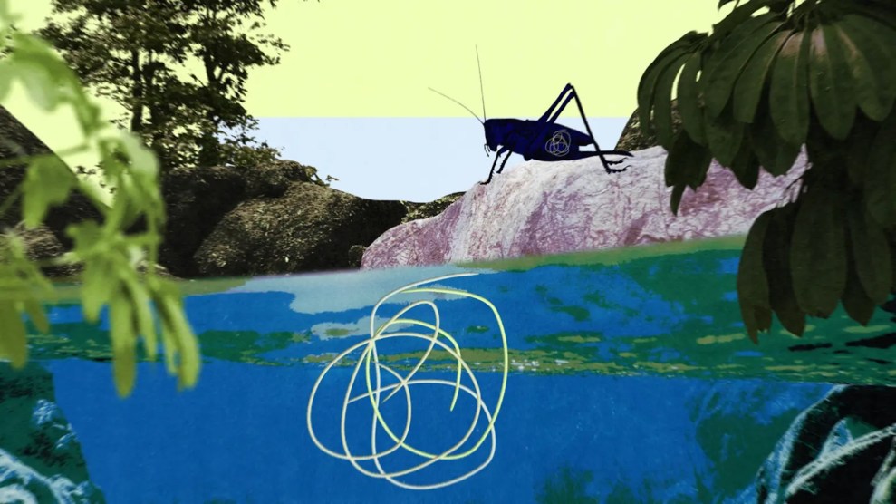 A collage illustration of water, surrounding trees, and an insect on top of a rock