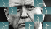 A collage of eight square images of wind turbines are scattered over a tightly cropped black-and-white portrait of a stern-looking Donald Trump.