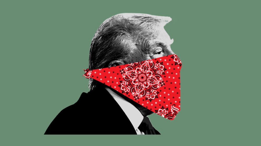 Illustration of Donald Trump depicted as a bandit with a red bandana covering his face.