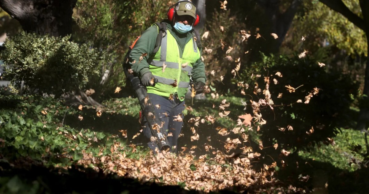 Get a Rake: Dispatch From Suburban America’s Forever War