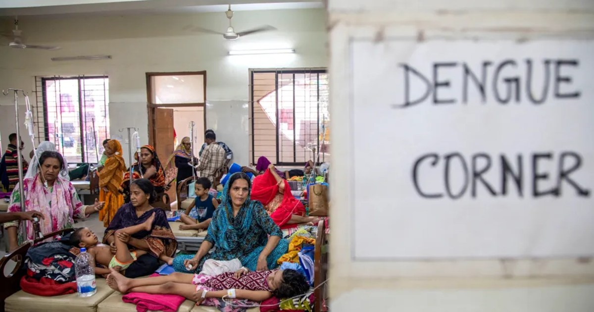 This Brutal Mosquito-Borne Disease May Have a Cure—But There’s a Catch