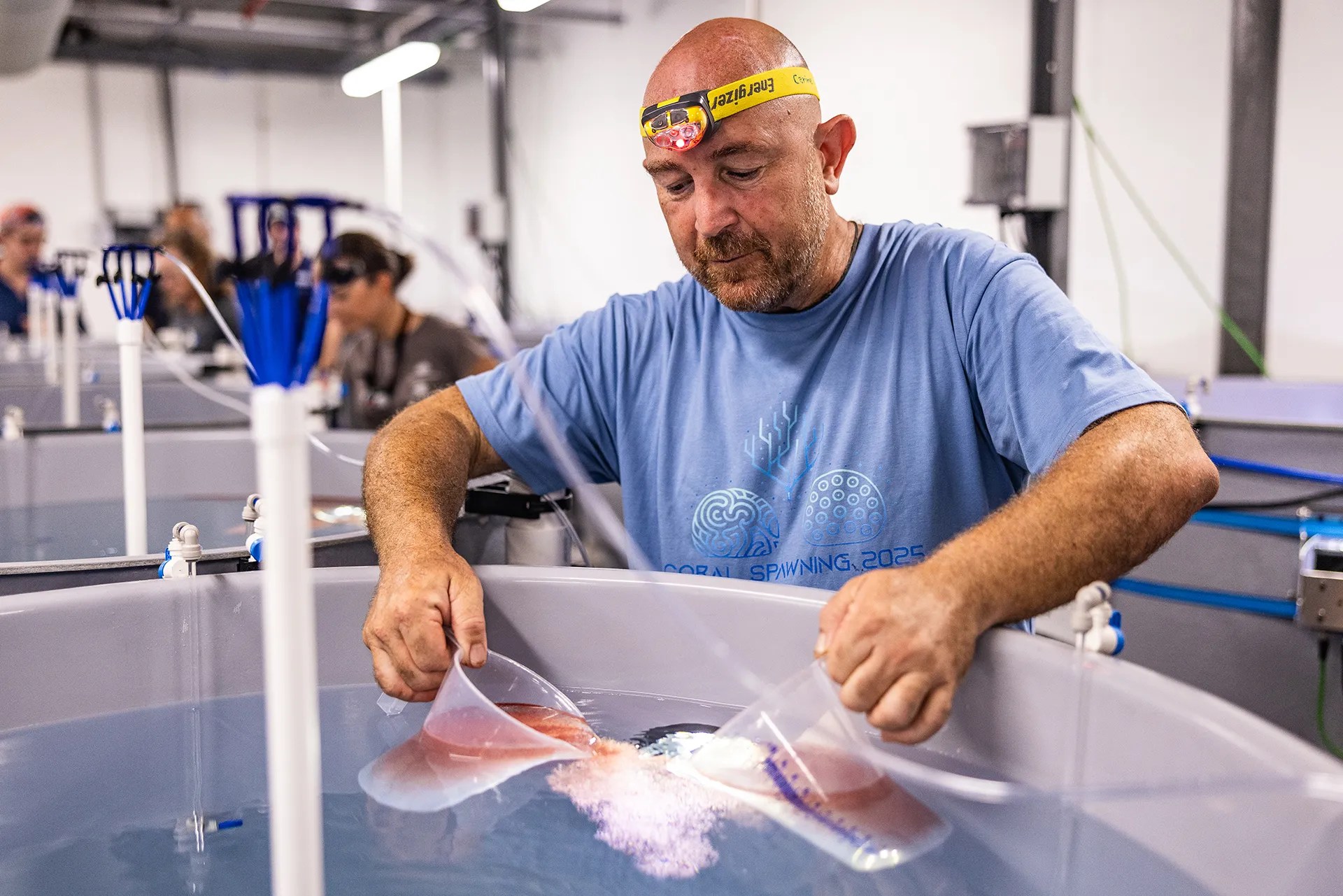 A balled, white man wearing a blue shirt pours red liquid into a large vat. 