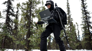 A researcher skis through a snowy wooded forest with a laptop and monitoring device.