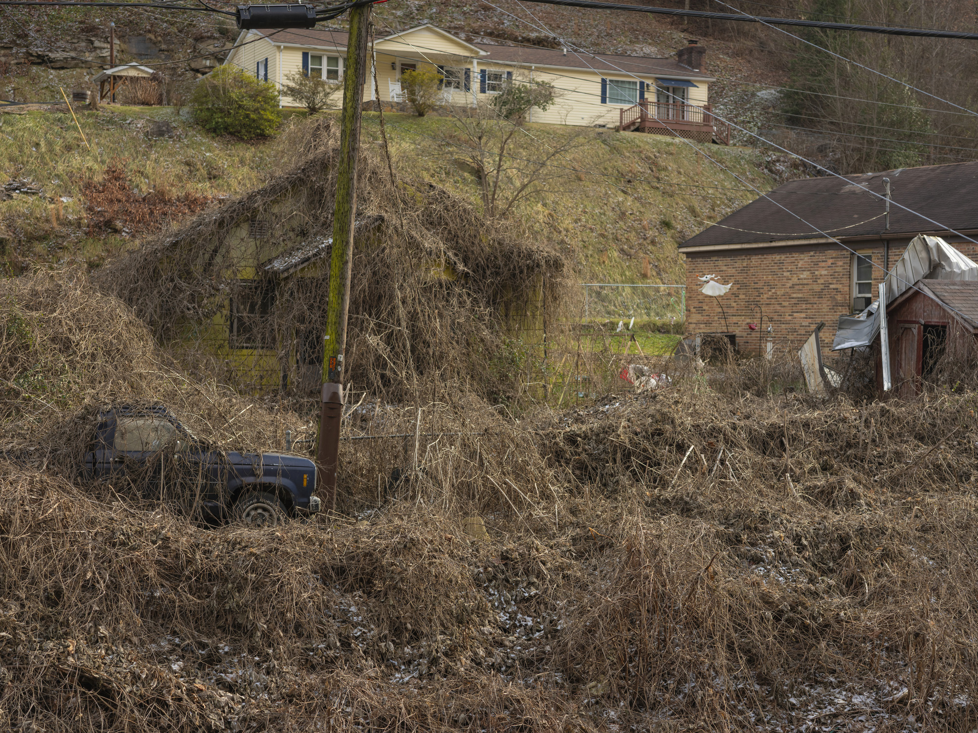 Hillside with houses and a truck, with vegetation overtaking one of the houses and a truck.