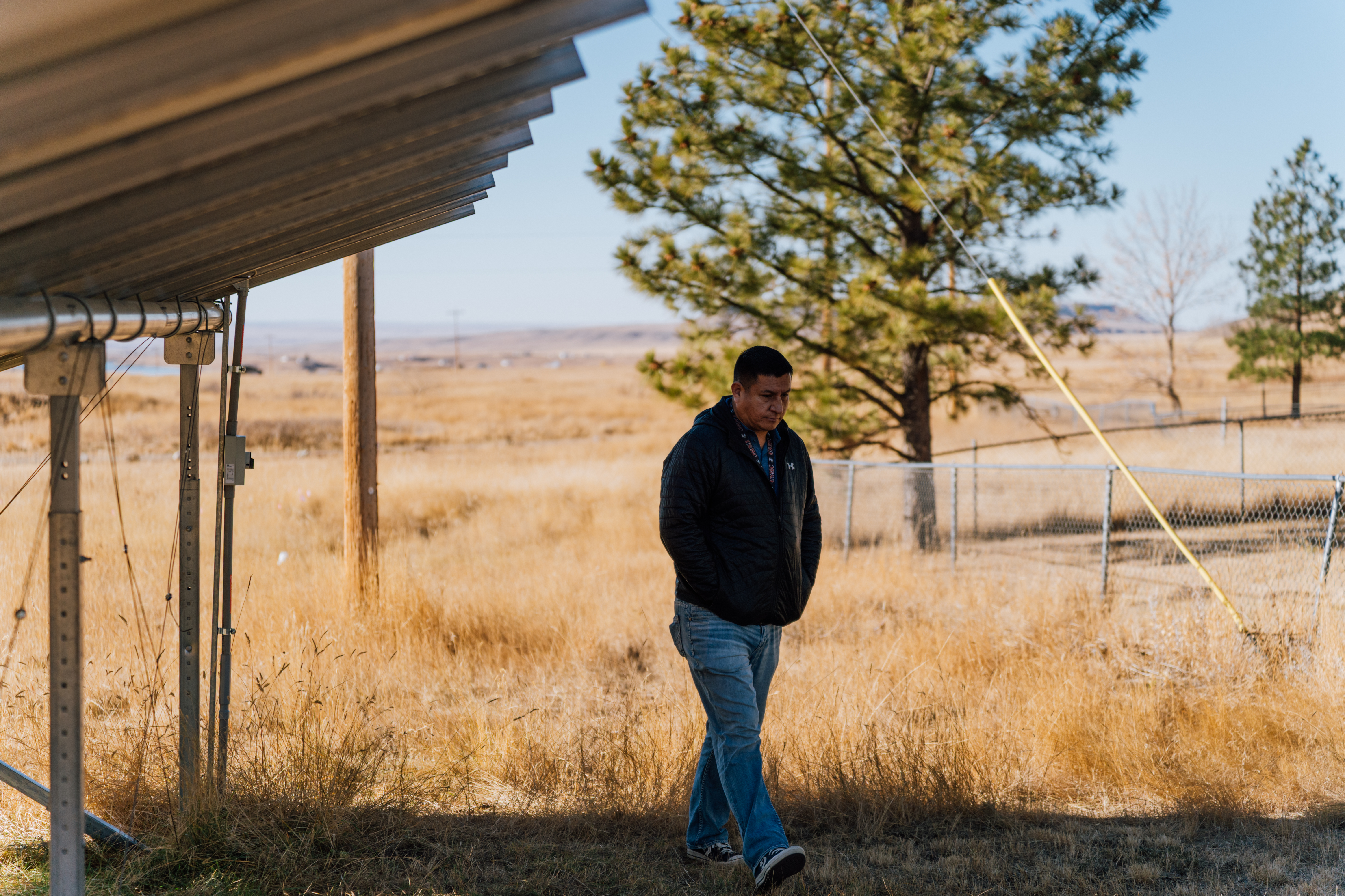 A man, visible but cast in shadow, stares out over grassy plains from beneath a solar array. A tree stands in the near distance.