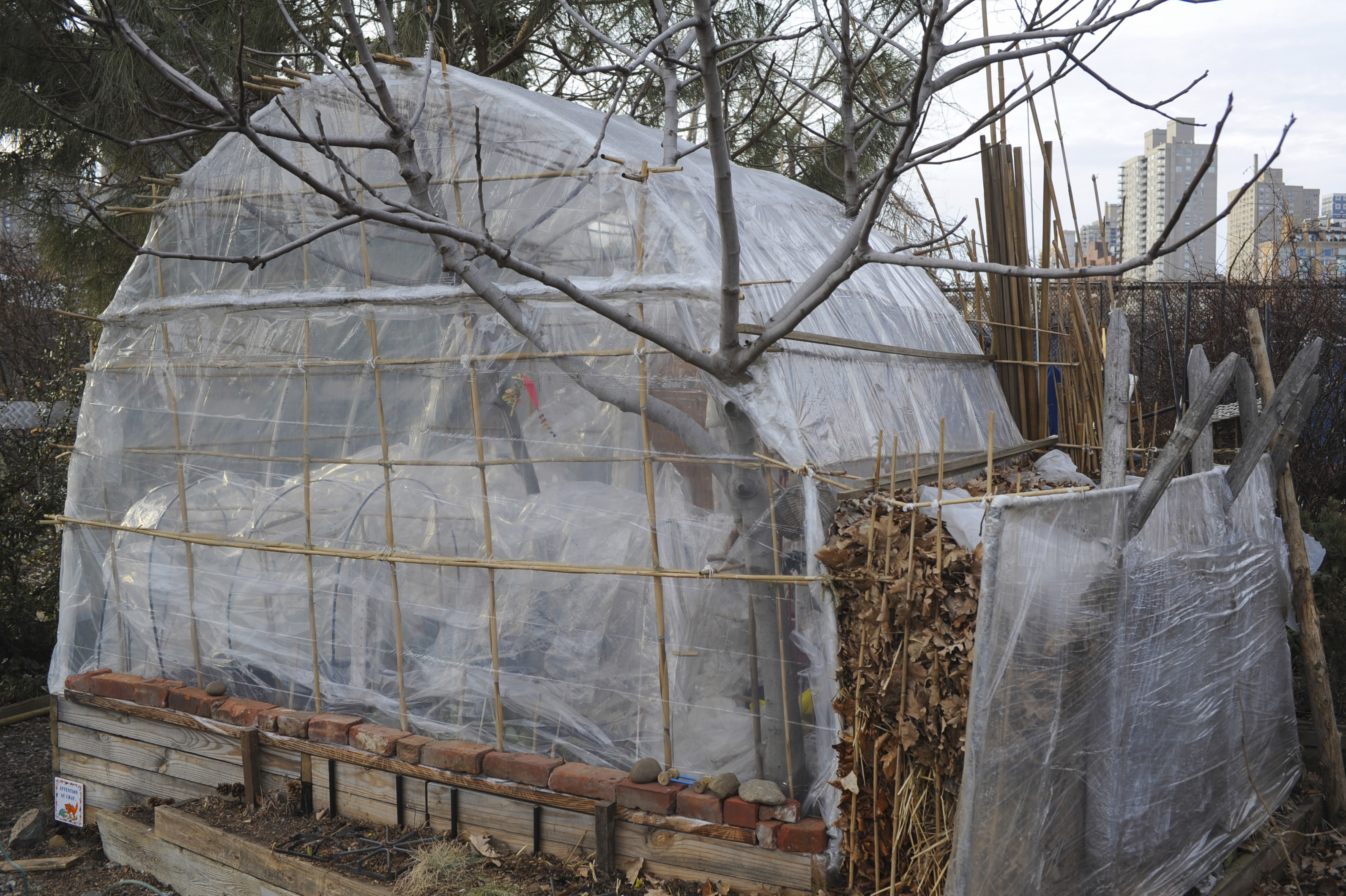 A hoop house, a structure made of wood and plastic, covers a raised bed in an urban garden.