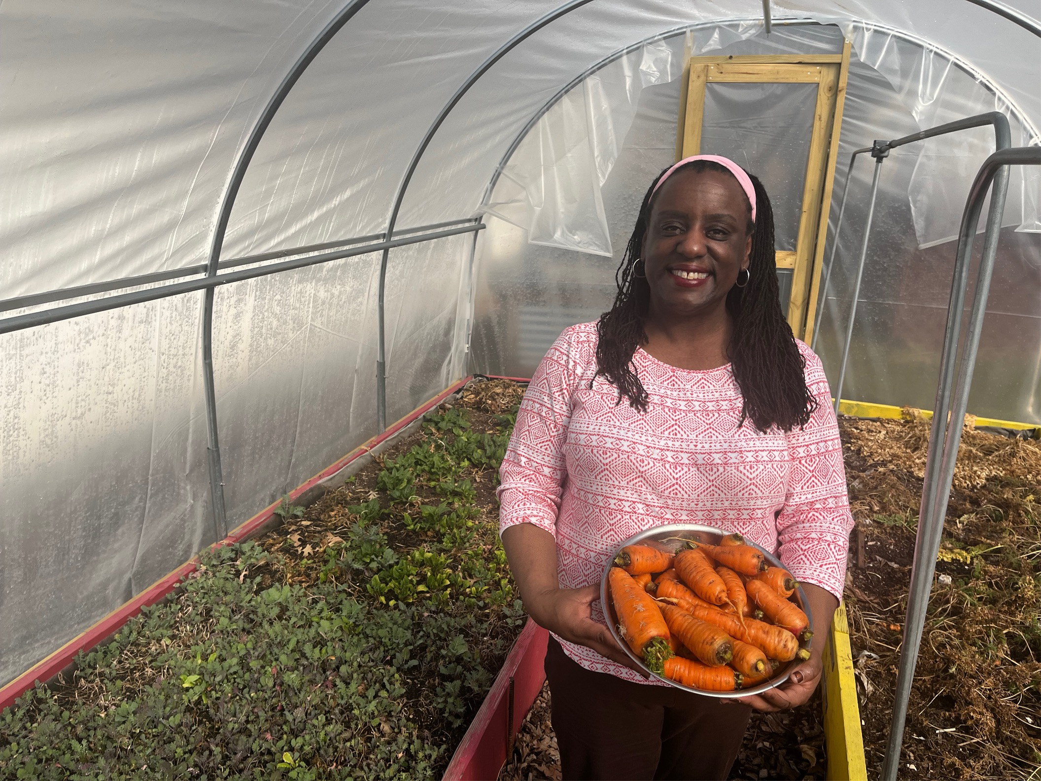 A smiling African American woman holds harvested carrots in a covered hoop house.