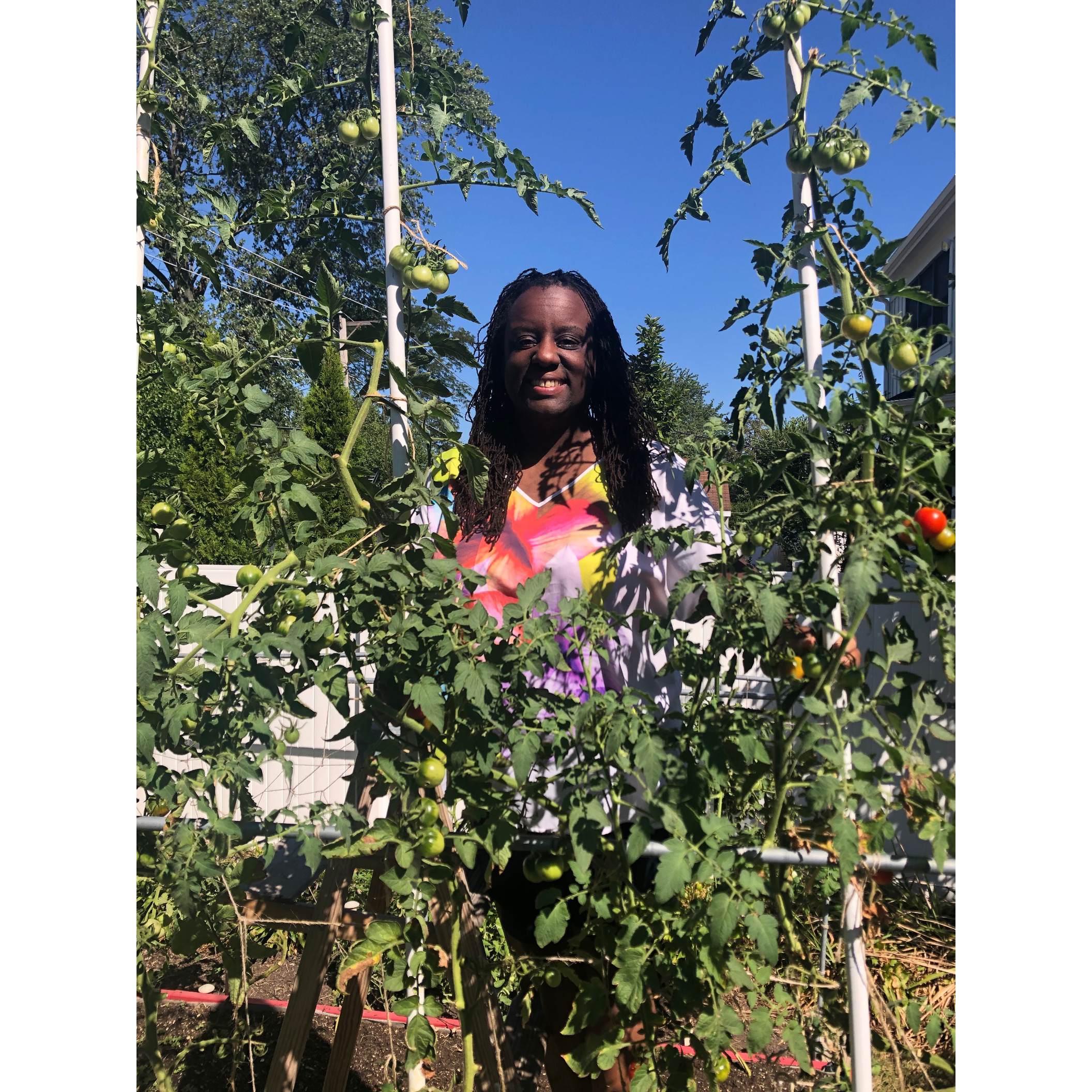 A smiling African American woman stands behind lush tomato plants outside.