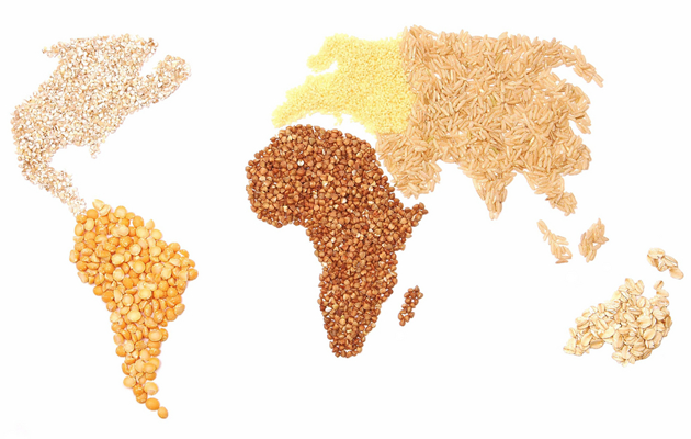 Gmo Charts