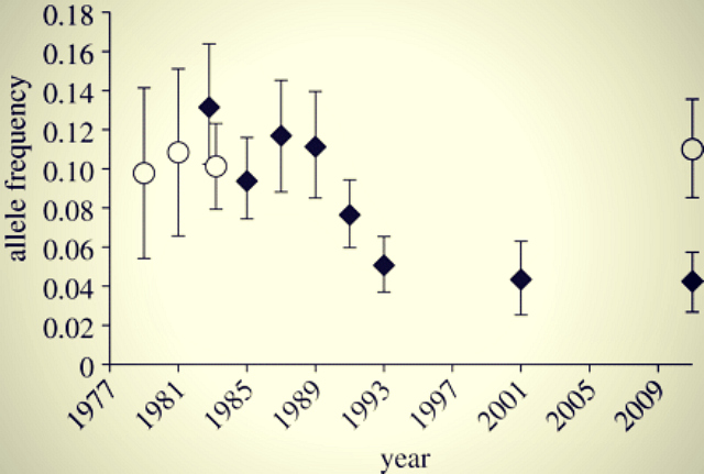 Genetic change for earlier migration timing in a pink salmon population: Ryan P. Kovach, et al. Proceedings of the Royal Society B. DOI:10.1098/rspb.2012.1158