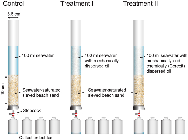 Clean seawater, crude oil dispersed by sonication, or crude oil dispersed by Corexit and sonication were flushed through the sand columns by gravity. The effluent of the columns was collected as a time series in 4 vials each. PLOS ONE doi:10.1371/journal.pone.0050549.g001