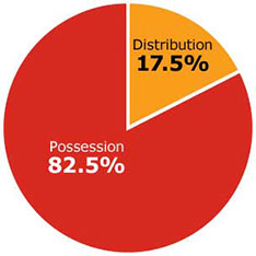 Percentage of drug arrests targeting