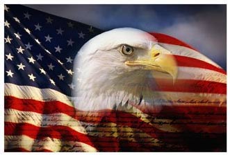 bald_eagle_american_flag.jpg