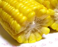 corn200.jpg